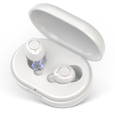 Rechargeable OTC Hearing Aids ZTQ-RBN518 Hearing Aids SEJOY Store PAIR-WHITE  